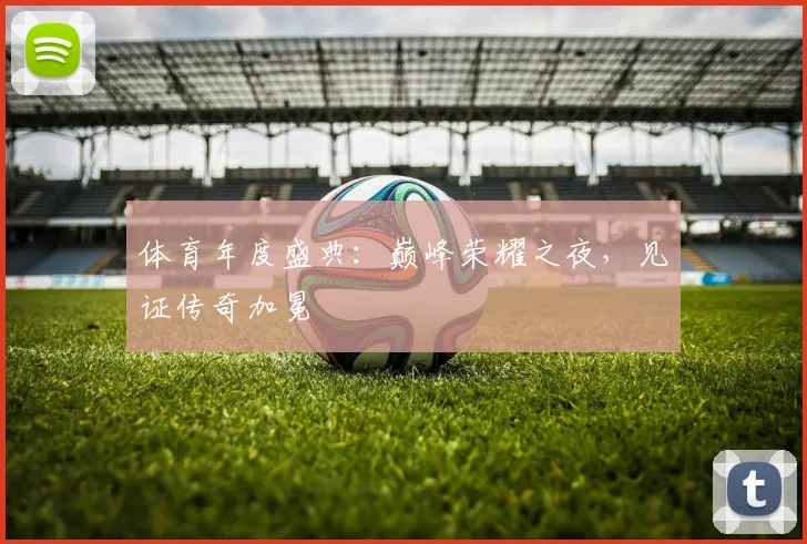 体育年度盛典:巅峰荣耀之夜,见证传奇加冕