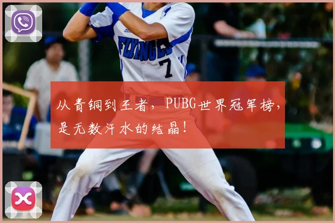 从青铜到王者，PUBG世界冠军榜，是无数汗水的结晶！