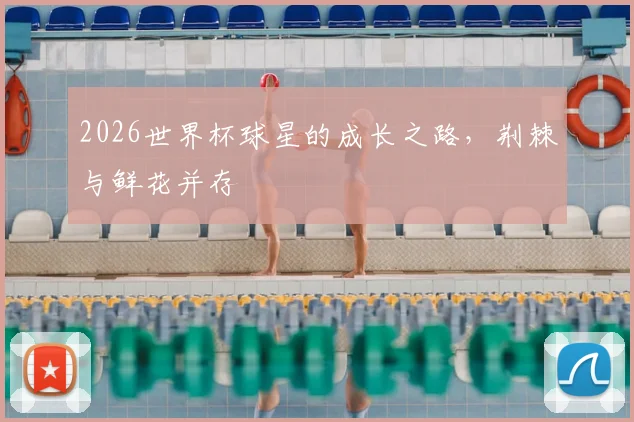 2026世界杯球星的成长之路,荆棘与鲜花并存